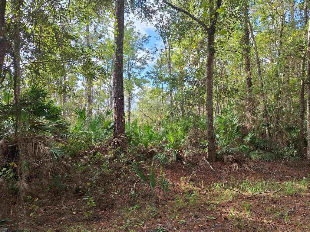 201 Pineway West Ave, Satsuma, FL 32189