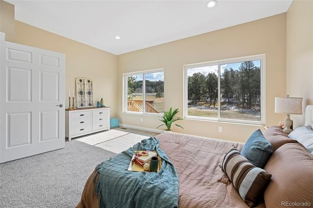 108 High Pasture Road, Florissant, CO 80816