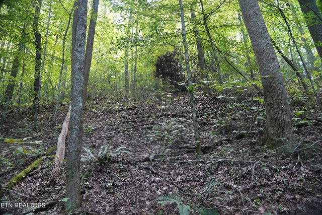 Bull Mountain Rd, Del Rio, TN 37727