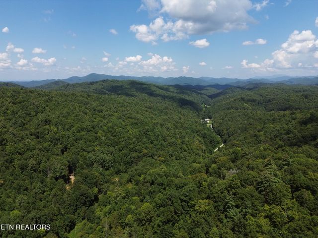 Bull Mountain Rd, Del Rio, TN 37727