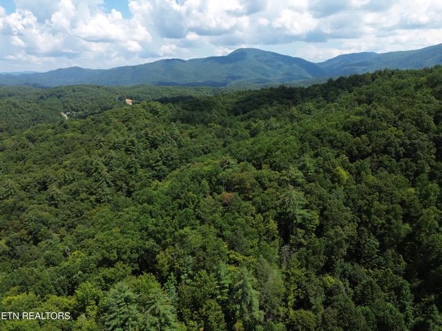 Bull Mountain Rd, Del Rio, TN 37727