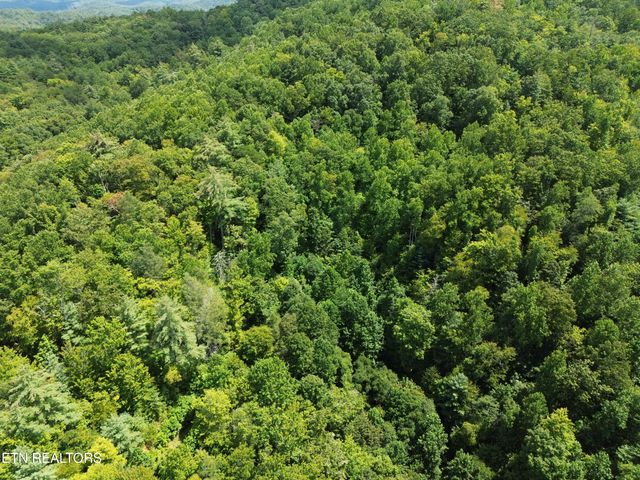 Bull Mountain Rd, Del Rio, TN 37727