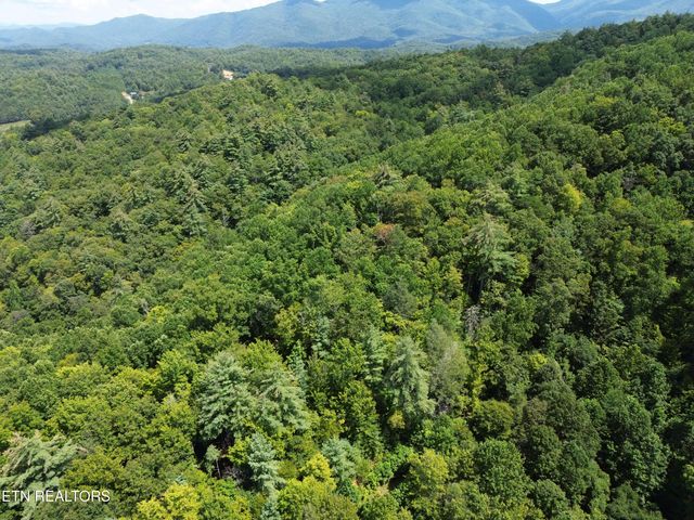 Bull Mountain Rd, Del Rio, TN 37727