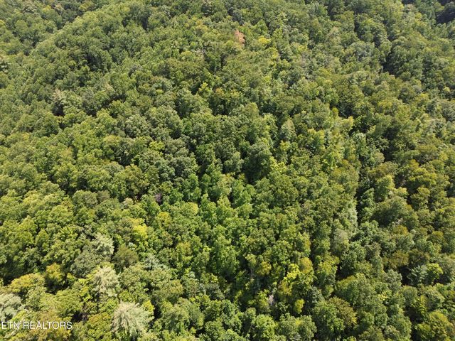 Bull Mountain Rd, Del Rio, TN 37727