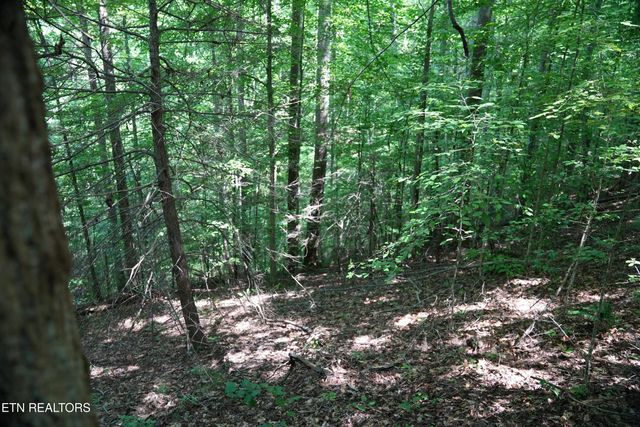 Bull Mountain Rd, Del Rio, TN 37727