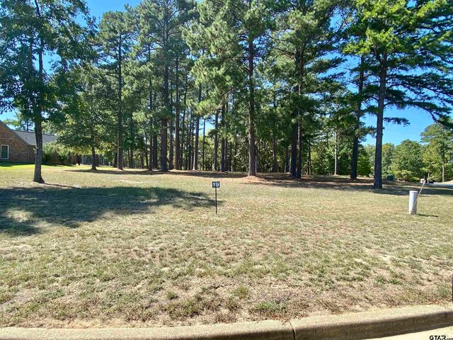 Lot 19 Easy St, Frankston, TX 75763