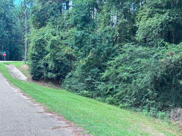 0 Lakeridge Point, Lumberton, MS 39455