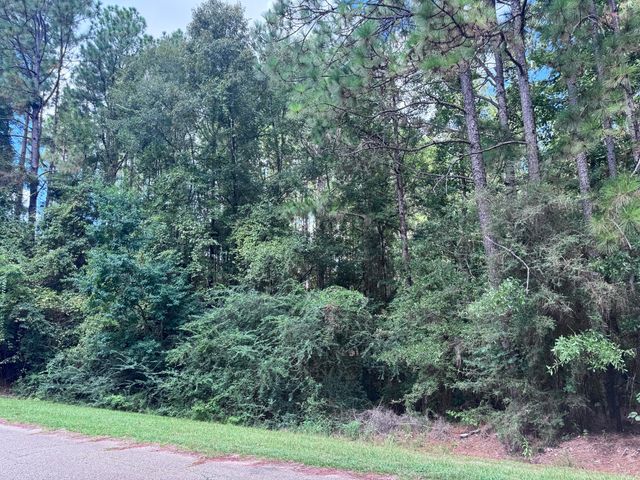 0 Lakeridge Point, Lumberton, MS 39455