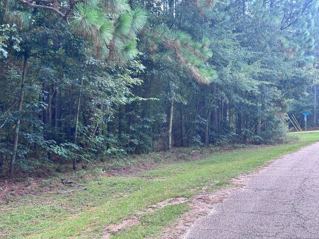 0 Lakeridge Point, Lumberton, MS 39455