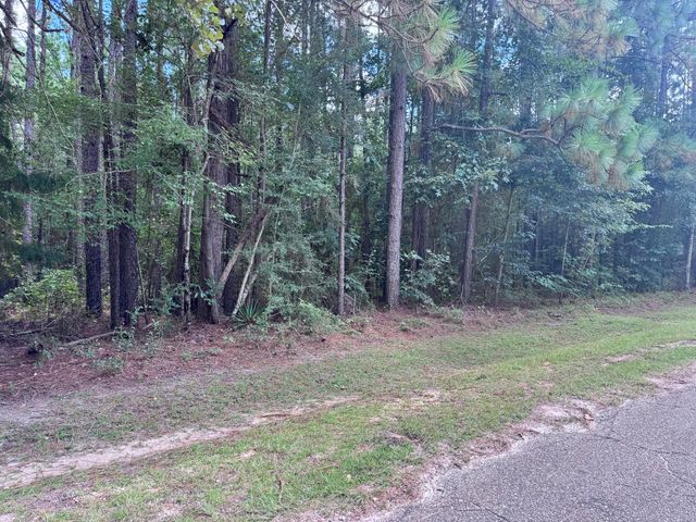 0 Lakeridge Point, Lumberton, MS 39455