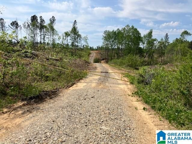 11482 CAMP OLIVER ROAD, Adger, AL 35006