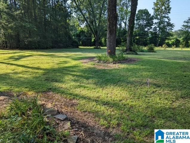 11482 CAMP OLIVER ROAD, Adger, AL 35006