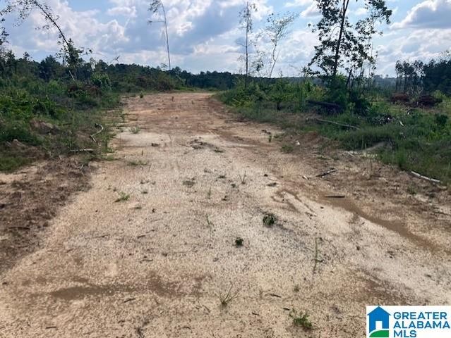 11482 CAMP OLIVER ROAD, Adger, AL 35006