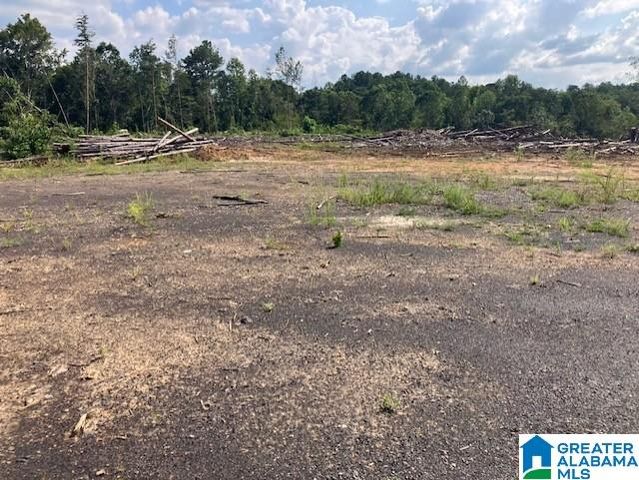 11482 CAMP OLIVER ROAD, Adger, AL 35006