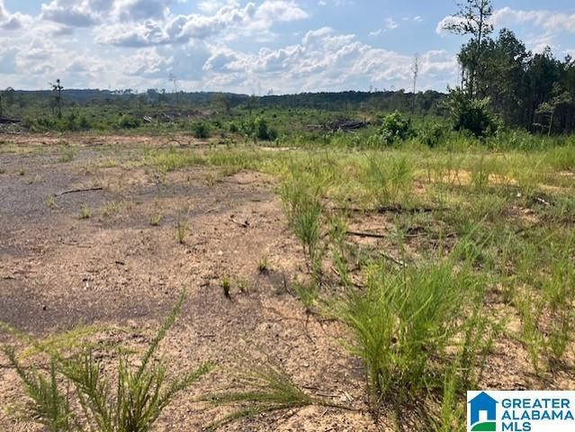 11482 CAMP OLIVER ROAD, Adger, AL 35006