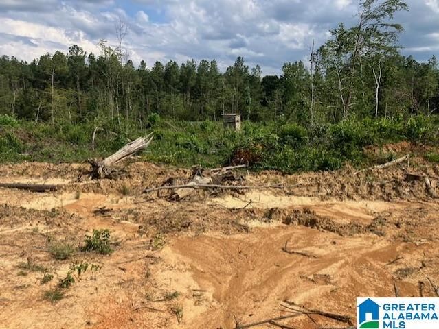 11482 CAMP OLIVER ROAD, Adger, AL 35006