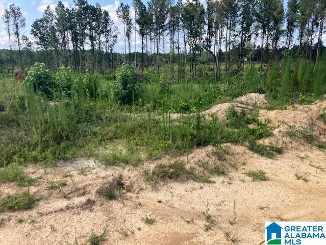 11482 CAMP OLIVER ROAD, Adger, AL 35006