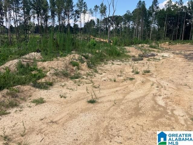 11482 CAMP OLIVER ROAD, Adger, AL 35006