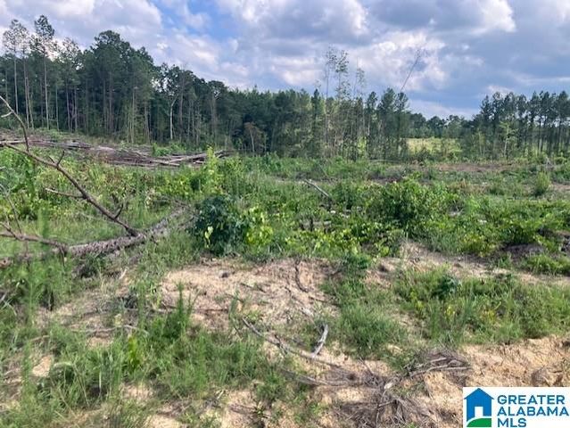 11482 CAMP OLIVER ROAD, Adger, AL 35006