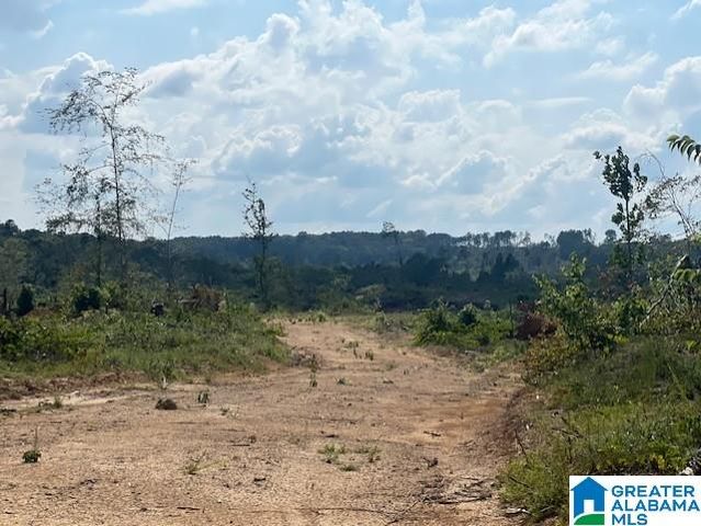 11482 CAMP OLIVER ROAD, Adger, AL 35006