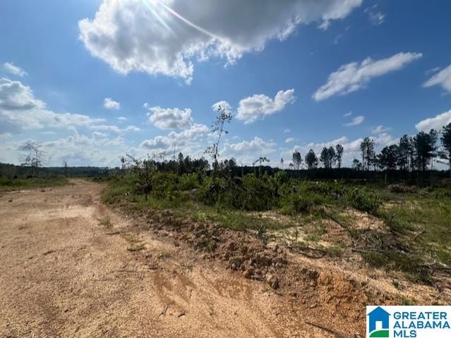 11482 CAMP OLIVER ROAD, Adger, AL 35006