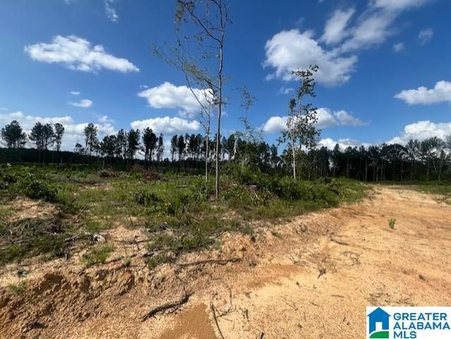 11482 CAMP OLIVER ROAD, Adger, AL 35006