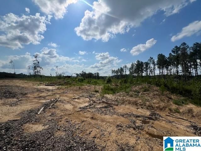 11482 CAMP OLIVER ROAD, Adger, AL 35006