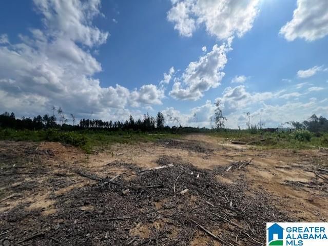 11482 CAMP OLIVER ROAD, Adger, AL 35006