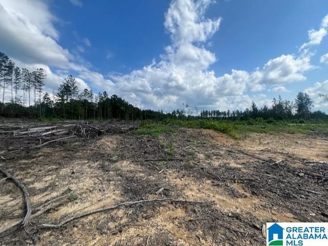 11482 CAMP OLIVER ROAD, Adger, AL 35006