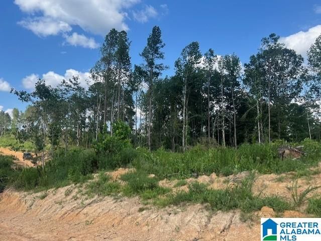 11482 CAMP OLIVER ROAD, Adger, AL 35006