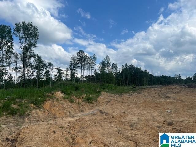 11482 CAMP OLIVER ROAD, Adger, AL 35006