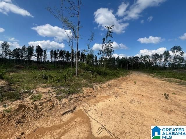 11482 CAMP OLIVER ROAD, Adger, AL 35006