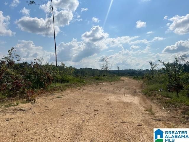 11482 CAMP OLIVER ROAD, Adger, AL 35006