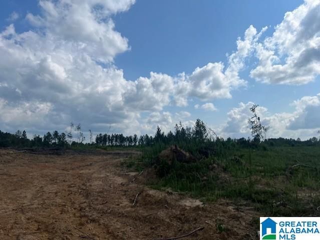 11482 CAMP OLIVER ROAD, Adger, AL 35006