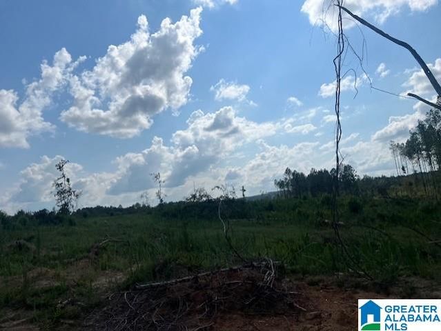 11482 CAMP OLIVER ROAD, Adger, AL 35006