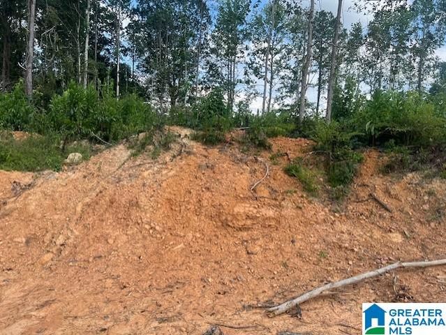 11482 CAMP OLIVER ROAD, Adger, AL 35006