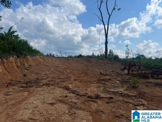 11482 CAMP OLIVER ROAD, Adger, AL 35006