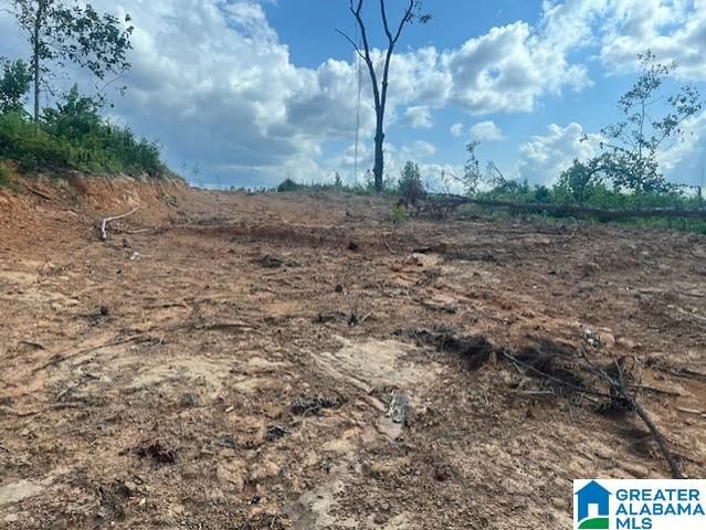 11482 CAMP OLIVER ROAD, Adger, AL 35006