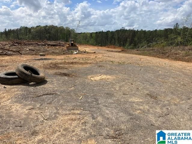 11482 CAMP OLIVER ROAD, Adger, AL 35006