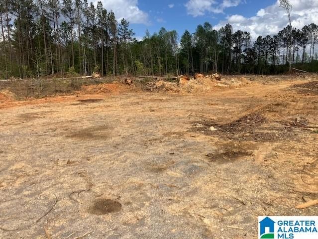 11482 CAMP OLIVER ROAD, Adger, AL 35006