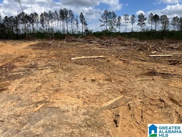 11482 CAMP OLIVER ROAD, Adger, AL 35006