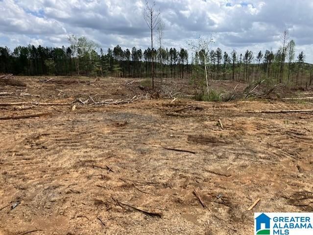 11482 CAMP OLIVER ROAD, Adger, AL 35006