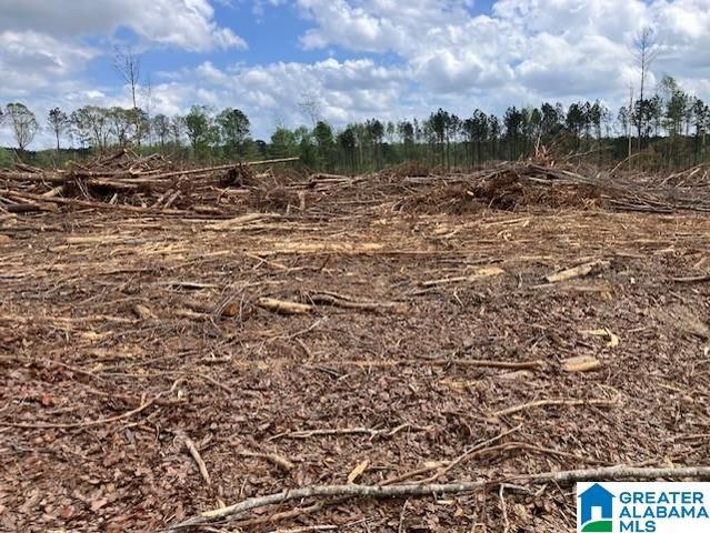 11482 CAMP OLIVER ROAD, Adger, AL 35006