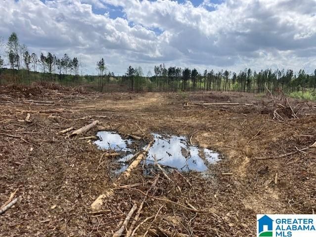 11482 CAMP OLIVER ROAD, Adger, AL 35006