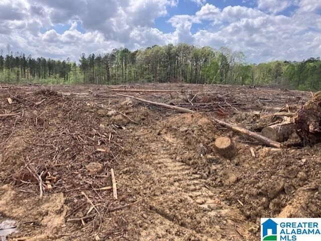 11482 CAMP OLIVER ROAD, Adger, AL 35006