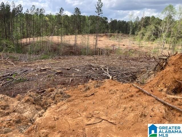 11482 CAMP OLIVER ROAD, Adger, AL 35006