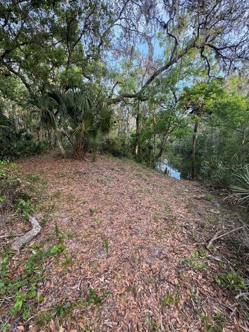 901 SHOALS LANDING DRIVE, Brandon, FL 33511