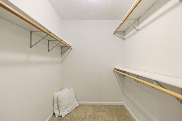 803 MANHATTAN DR, Columbia, MO 65201