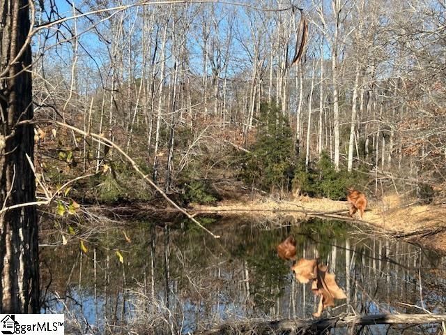 609 N Fish Trap Road, Easley, SC 29640