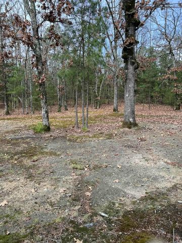 100 Seay Lane, Mena, AR 71953